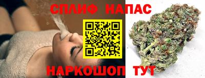 МДПВ Гай