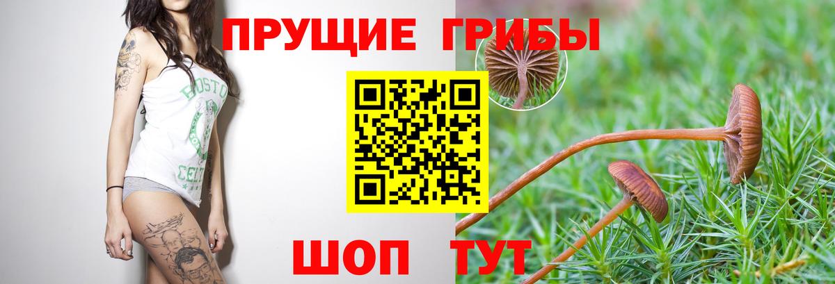 COCAIN  ГАШ  МЕФ кристаллы  Кокаин  МЕФ  Белореченск  Вход с VPN 